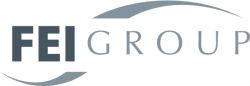 FEI Group